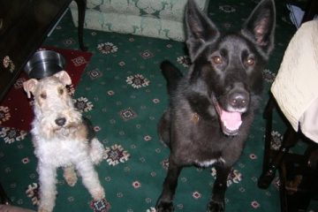 Basil and Madame