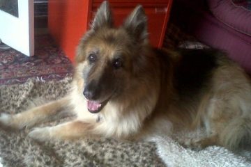 Jilly